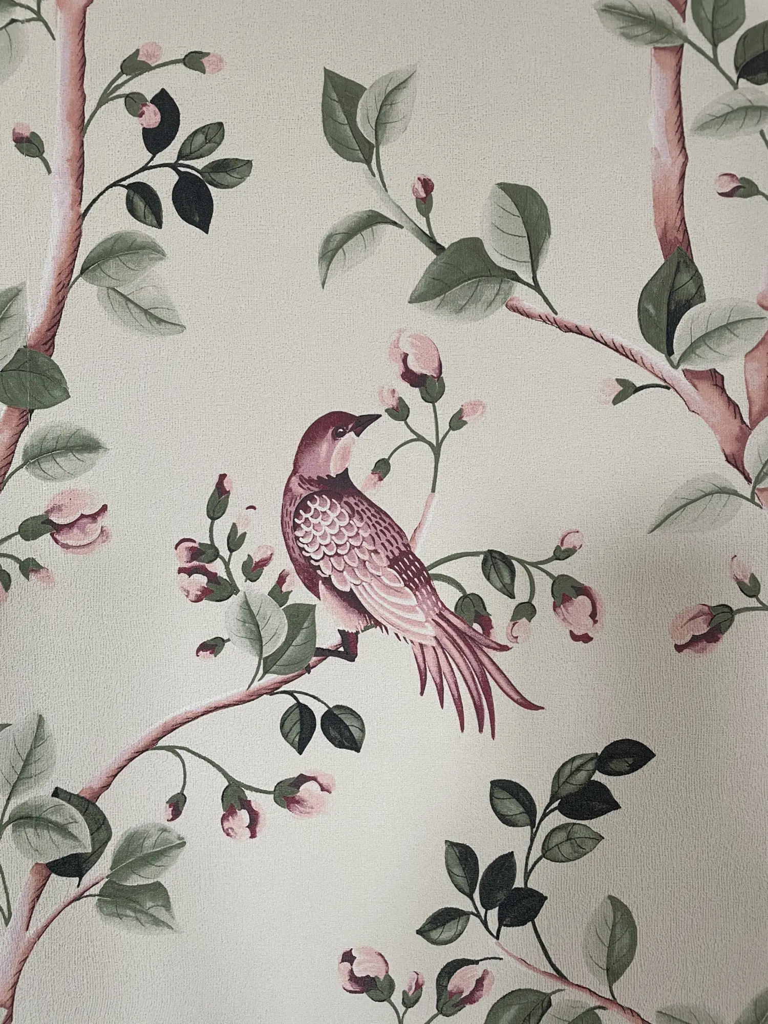 Photo popup homepage La Villa Henriette